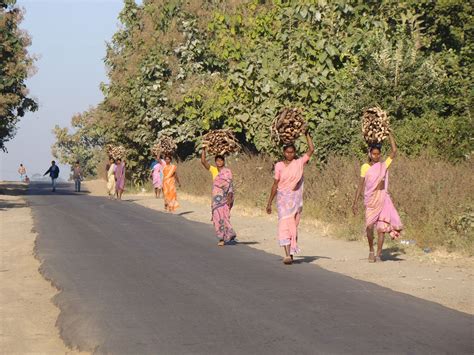 Telangana delays community forest rights for Adilabad tribals