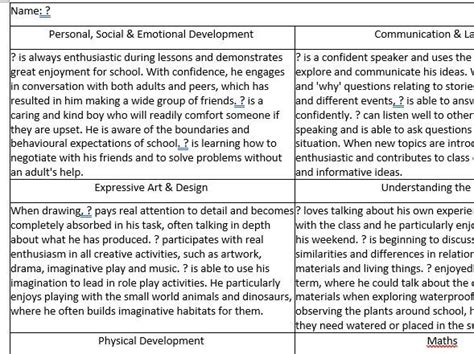 Image result for EYFS Development Report Example