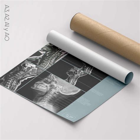 Patología Cervical » educare.design