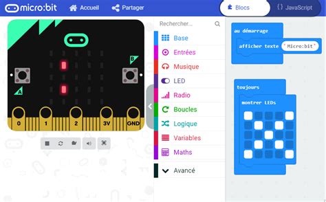 Image result for Carte Micro Bit Programme
