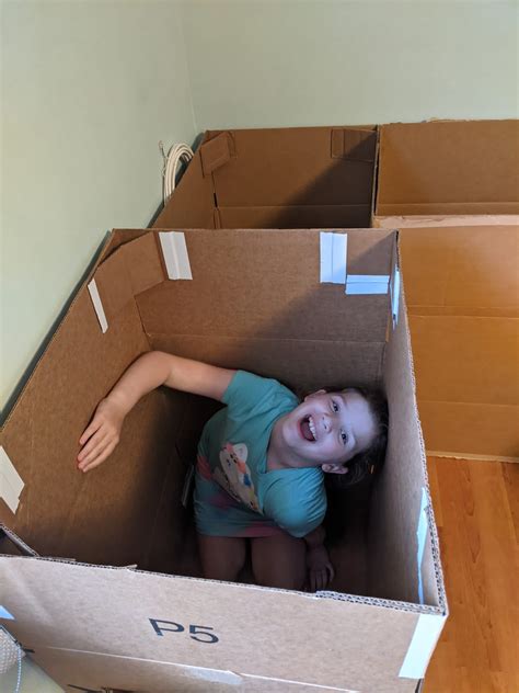 Image result for Box Fort House