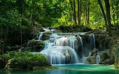 Livsn Tours and Travel | Lambasingi