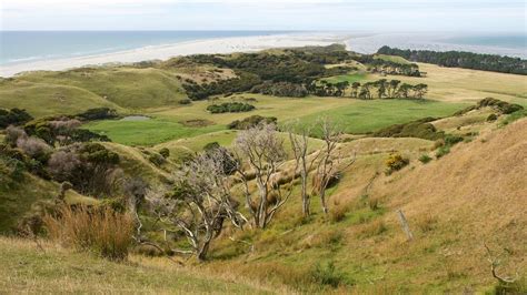THE 10 BEST Places to Visit in Collingwood (2026)