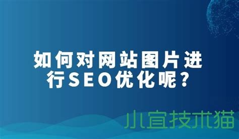 seo内容优化是什么（网站优化包括哪些内容）-8848SEO