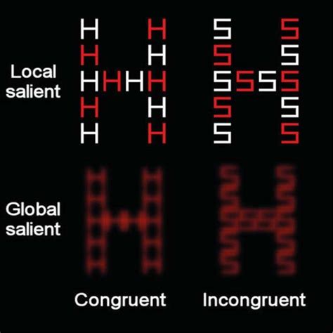 Global Local Task 的图像结果