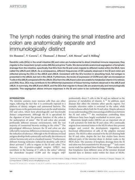 Image result for Small Intestine Lymph Nodes