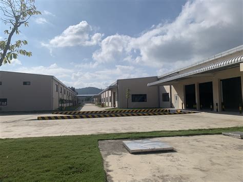 GLVについて | GREAT LONGVIEW