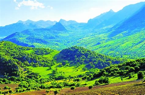 Spain 的图像结果