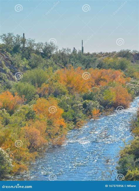Agua Fria River in the Southwest Desert of Peoria, Maricopa County ...