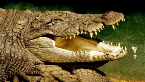 18 Things To Do In Pune In 2023 For All Globetrotters!