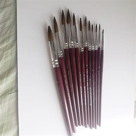 Giotto Natural Hair Round Brushes (Horse Hairs)