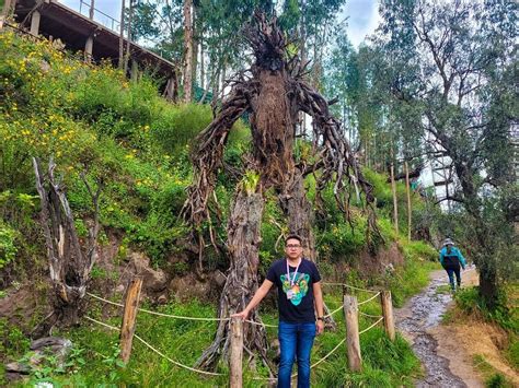 BOSQUE DE LOS ENTS, PARQUE RECREATIVO Y TURISTICO - All You Need to ...