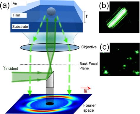 DarkField Microscope 的图像结果