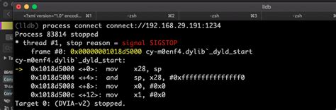 Lldb Debugger 的图像结果