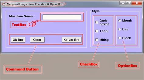 Image result for Visual Basic Checkbox Tutorial