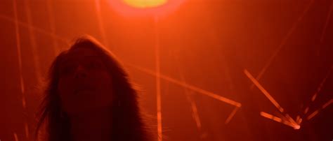 Image result for Patrick Fileti Shell Rimula