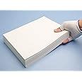 Avni Prints Bond Paper Sheet A4 size for Letter Head Printing 100 GSM ...