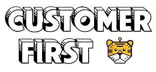 Tygatec 1:16 All Terrain Supersonic Rc Car,45 Kph High Speed Remote ...