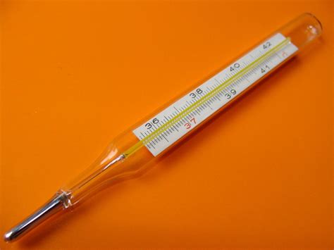 Free Mercury-in-glass thermometer Stock Photo - FreeImages.com