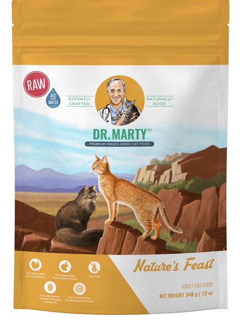 rayne clinical nutrition cat food