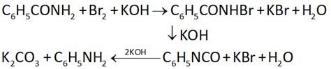 An organic compound containing nitrogen gave an oily liquid on heating ...