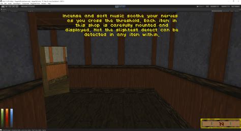 Image result for Daggerfall NPCs