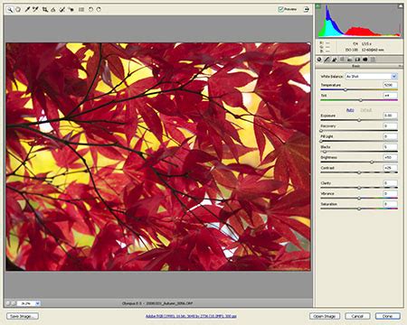Raw Converter 的图像结果