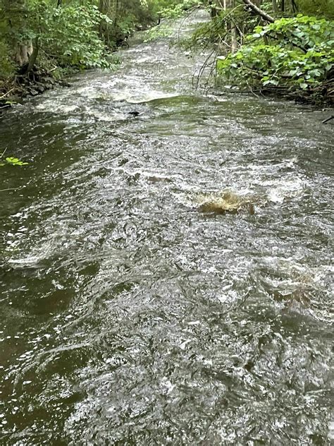 Tymor Park Loop - New York | AllTrails