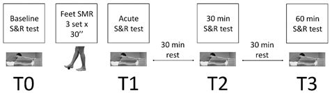 Self-Myofascial Release of the Foot Plantar Surface: The Effects of a ...