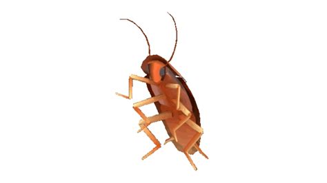 Cockroach Dance Song 的图像结果