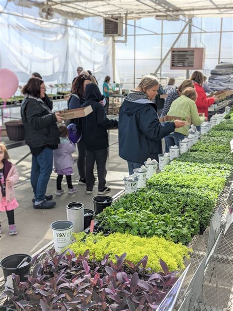 Spring Planting Party: Saturday, March 15th, 281 St. Andrews Dr ...