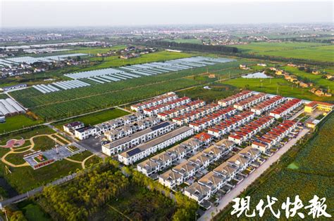 撬动超10亿的大产业！涟水打造华东最大设施化芦笋种植基地_腾讯新闻