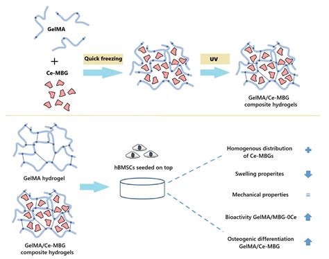 Gelatin/Cerium-Doped Bioactive Glass Composites for Enhancing Cellular ...