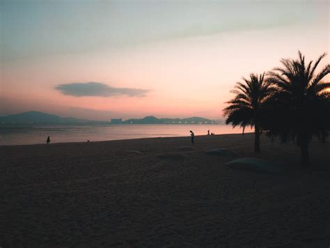 OnePlus 10 Pro Camera 的图像结果