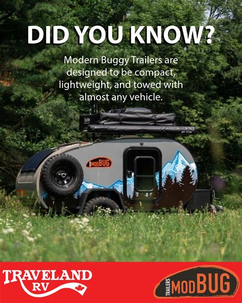 Image result for Mod Bug