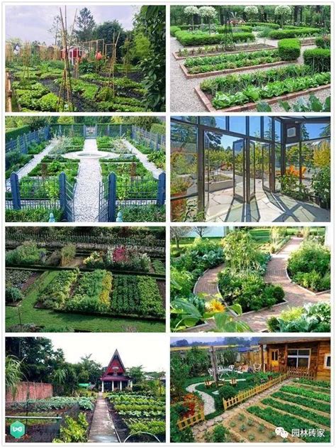 庭院菜园怎么设计最好看？ -6park.com