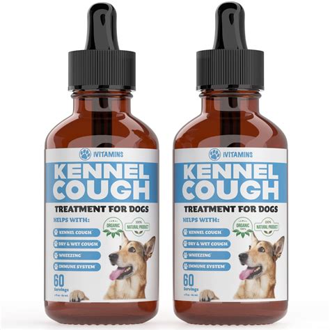 Can You Give Dogs Cough Medicine For Kennel Cough at Roberta York blog