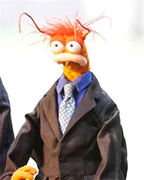Pepe The King Prawn Quotes My Face When I Realized What He Was Talking