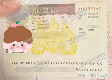 办理签证需要多长时间（提前多久申请合适？） - 外国人来华服务中文官网【CNVISA】