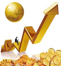 AMU-O LMS: All courses