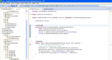 Java Radio Button 的图像结果