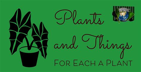Plants and Things LLC