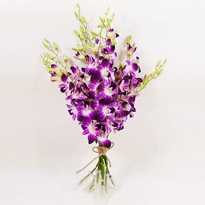 Athena'sGarden Athena’s Garden Fresh Cut Purple Orchids Flowers India ...
