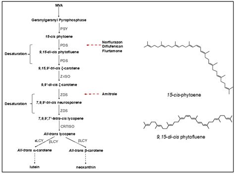 Mitosis Inhibitors Induce Massive Accumulation of Phytoene in the ...
