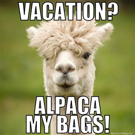 Vacation humor – Artofit