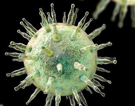 Epstein-Barr Virus: Diagnosis, Treatment And Prognosis - MKExpress.net