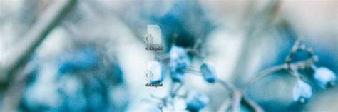 Ini Files On Desktop 的图像结果