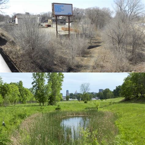 Greening Solutions — Great River Greening