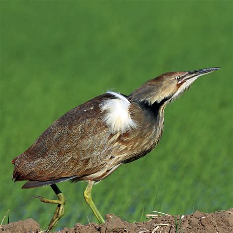 Image result for Order Status