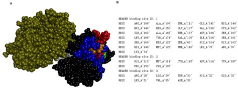 Interaction between TNF and BmooMP-Alpha-I, a Zinc Metalloprotease ...